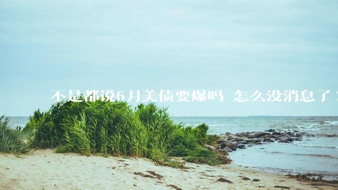 不是都说6月美债要爆吗 怎么没消息了?