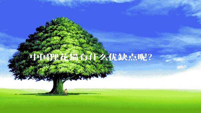 中国狸花猫有什么优缺点呢？