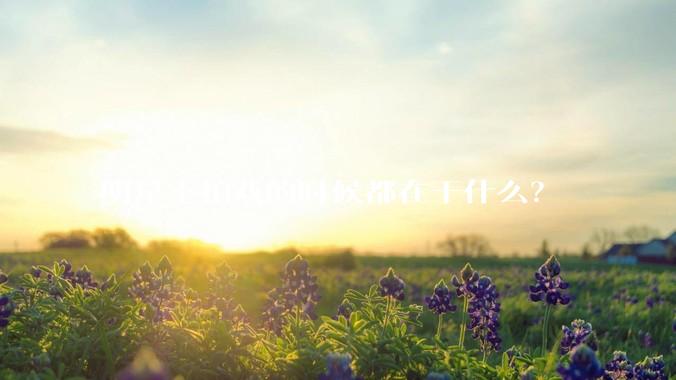 明星不拍戏的时候都在干什么？
