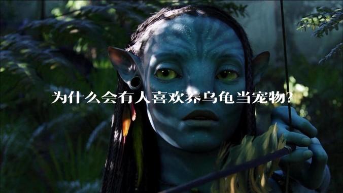 为什么会有人喜欢养乌龟当宠物？
