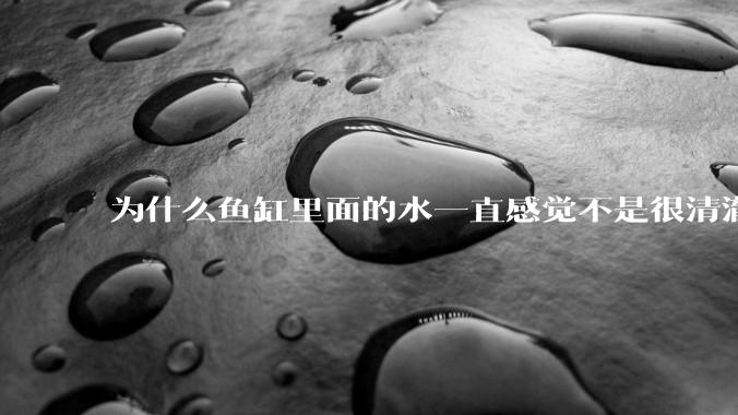 为什么鱼缸里面的水一直感觉不是很清澈呢？