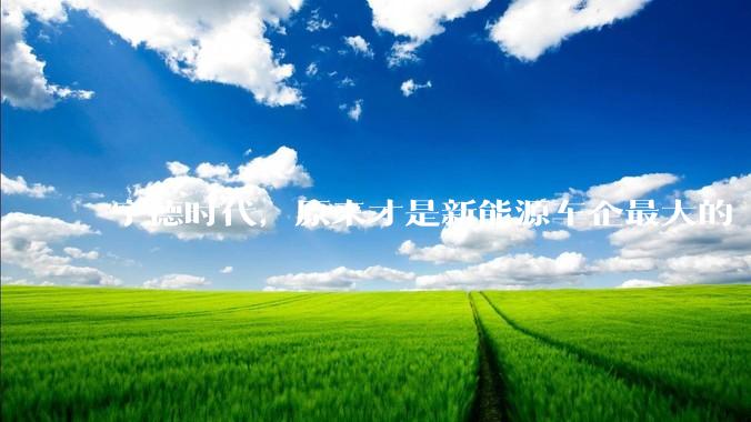宁德时代，原来才是新能源车企最大的「***股东」_投资方_电池_赛力斯