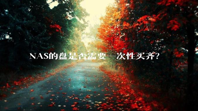 NAS的盘是否需要一次性买齐？